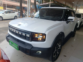 捷途山海T1 2024款 150km 向海