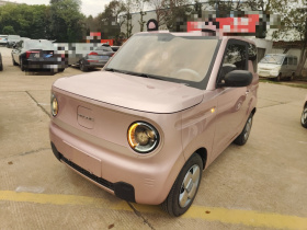 吉利银河 2023款 熊猫mini 200km 耐力熊