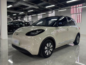 五菱汽车 五菱缤果 2023款 410km 灵犀尊享款