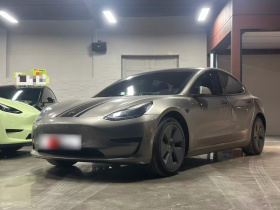 特斯拉 Model 3 2022款 后轮驱动版