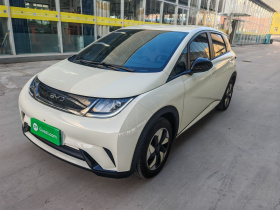 比亚迪 海豚 2025款 420km 自由版