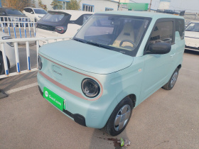 吉利银河 2024款 熊猫mini 200km 耐力熊
