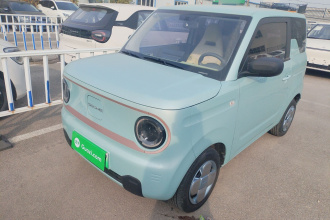 吉利银河 2024款 熊猫mini 200km 耐力熊