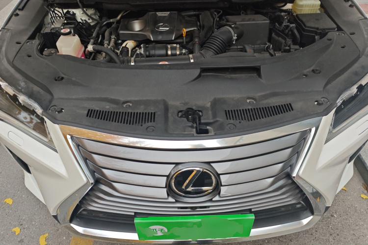 雷克萨斯RX 2016款 300 四驱典雅版 国V局部细节24