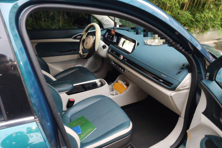 欧拉好猫 2021款 400km标准续航 维纳斯版 磷酸铁锂局部细节9005