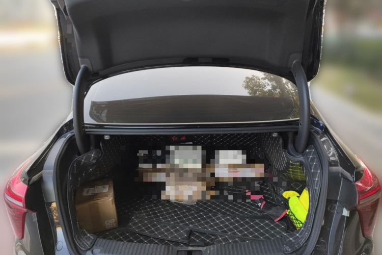 红旗H5 2023款 2.0T 自动智联旗畅版局部细节23