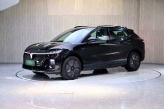 岚图汽车 岚图知音 2024款 四驱全球版