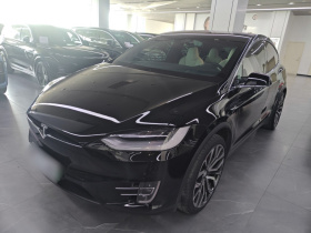 特斯拉 Model X 2019款 Performance 高性能版