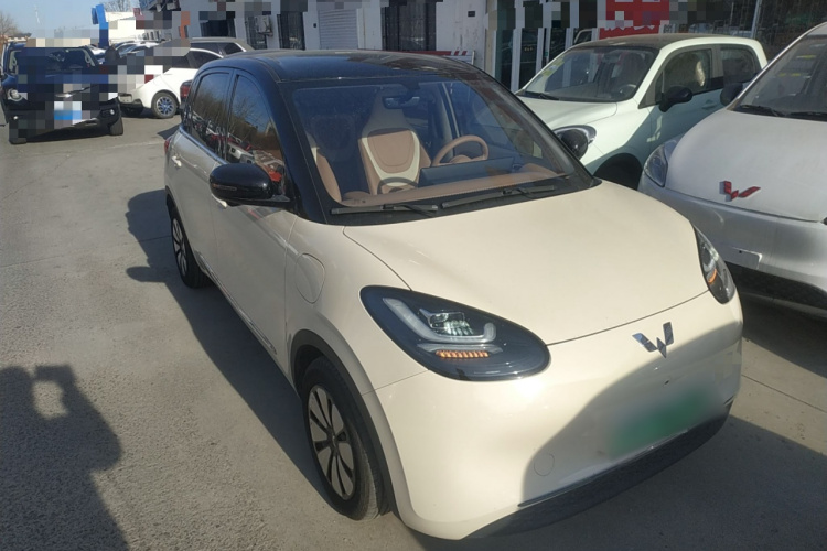 五菱汽车 五菱缤果 2025款 333km 灵犀尊享款车身外观6002