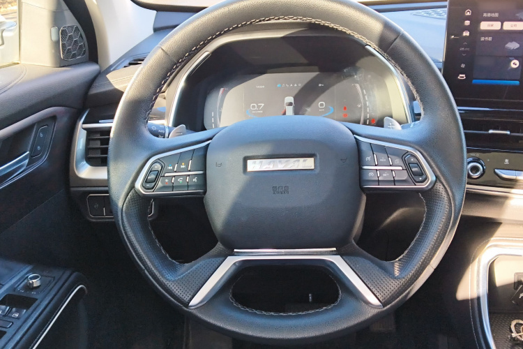 哈弗H6 2021款 国潮版 1.5T 自动冠军版中控内饰13