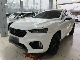 魏牌 VV7 2019款 升级款 2.0T 旗舰型 国VI