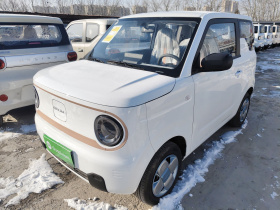 吉利银河 2024款 熊猫mini 200km 耐力熊