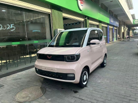 五菱汽车 宏光MINIEV 2021款 马卡龙时尚款 三元锂