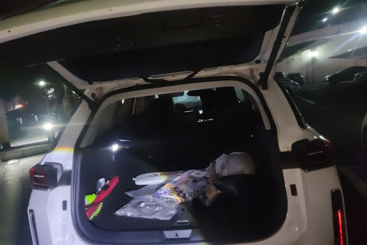 奔腾T99 2020款 20TD 自动尊享型中控内饰23