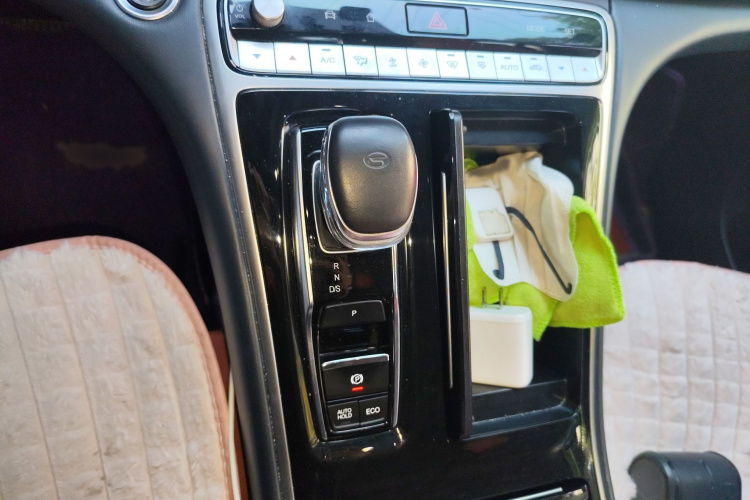 广汽传祺 传祺M8 2021款 改款 领秀系列 390T 豪华版局部细节18