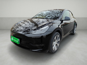 特斯拉 Model Y 2021款 标准续航后驱版