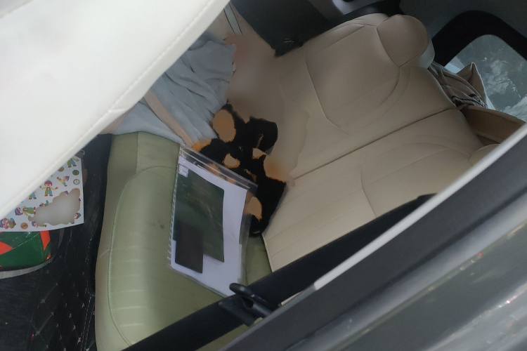 吉利银河 2023款 熊猫mini 新春版宝藏熊中控内饰7004