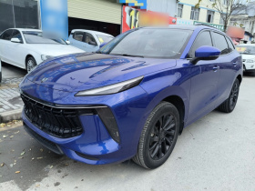 东风风行 风行T5 EVO 2021款 1.5TD DCT钻石版