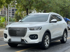 哈弗H6 2021款 1.5T 自动都市版