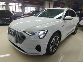 奥迪e-tron(进口) 2019款 55 quattro 时尚型