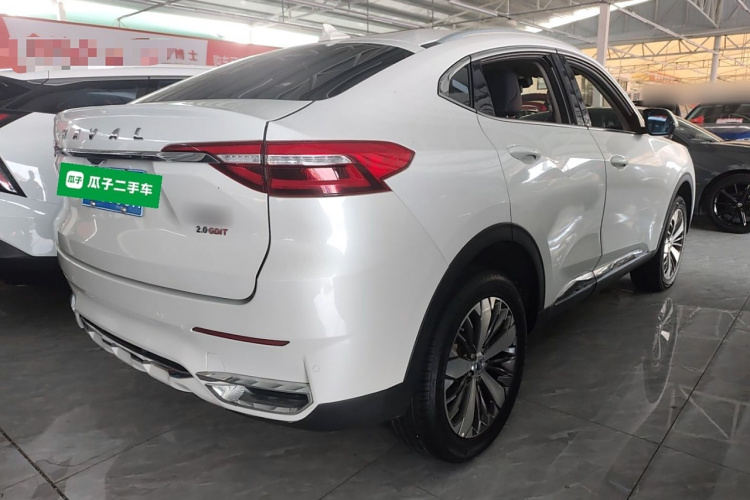 哈弗F7x 2019款 2.0T 两驱极智潮玩版车身外观7