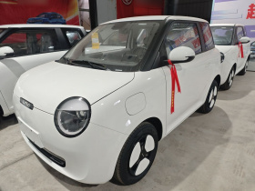 长安启源 长安Lumin 2024款 130km 清悦款