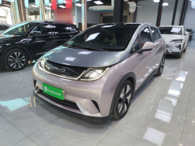 比亚迪 海豚 2021款 401km 骑士版