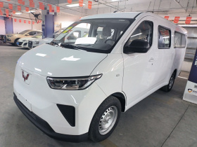 五菱汽车 五菱扬光 2024款 300KM 舒适型客车版 75kW