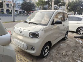 五菱汽车 宏光MINIEV 2024款 第三代 215km 青春版