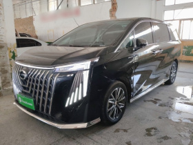 广汽传祺 传祺M8 2024款 大师系列 400T 至尊版