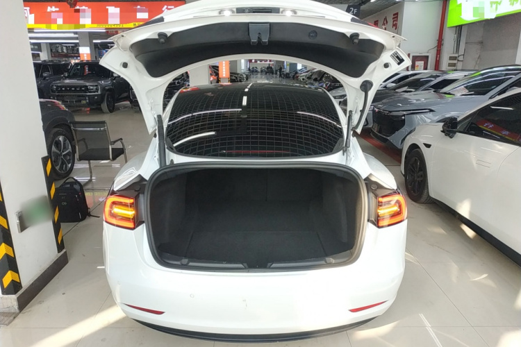 特斯拉 Model 3 2022款 后轮驱动版局部细节23