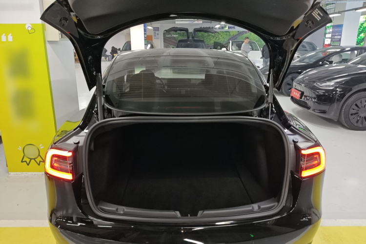 特斯拉 Model 3 2021款 标准续航后驱升级版 3D6机舱底盘23