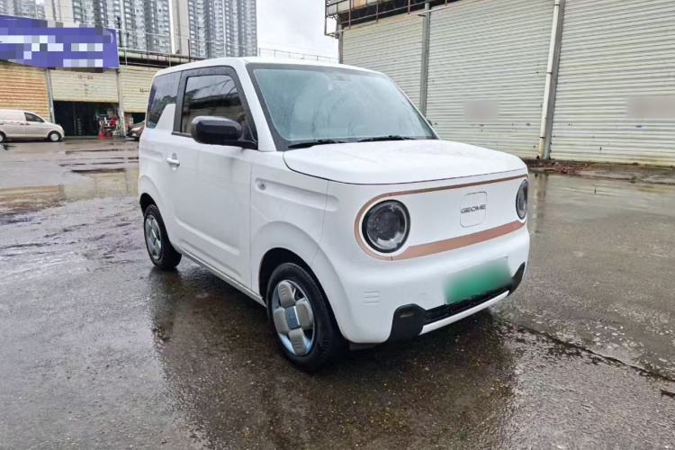 吉利银河 2024款 熊猫mini 200km 耐力熊车身外观3