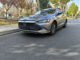 比亚迪 秦PLUS 2023款 冠军版 DM-i 55KM领先型