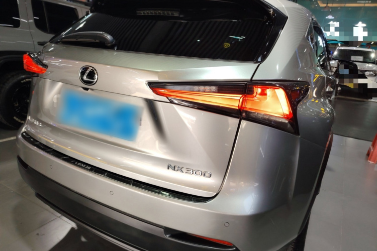 雷克萨斯NX 2018款 300 前驱 锋行版车身外观7