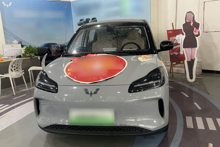 五菱汽车 五菱缤果PLUS 2024款 401km 五座版车身外观6001