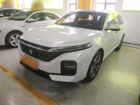 宝骏Valli 2021款 1.5T 那曲繁星 CVT旗舰型