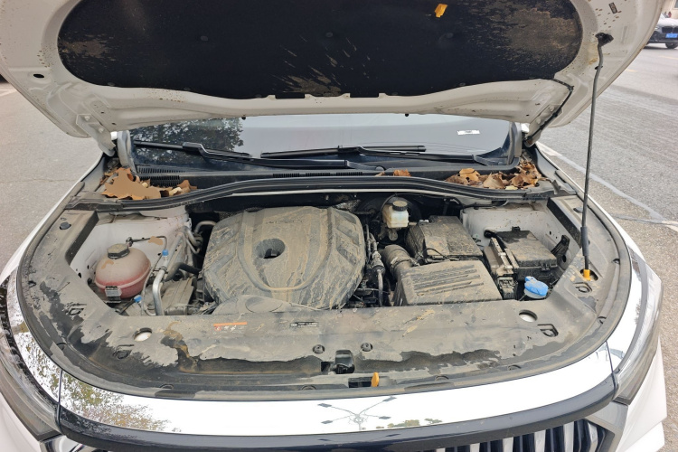 吉利汽车 豪越L 2024款 2.0T DCT尊贵型机舱底盘24