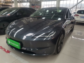 特斯拉 Model 3 2023款 后轮驱动版