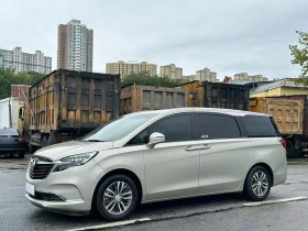 别克GL8 2020款 ES陆尊 653T 舒适型