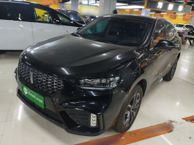 魏牌 VV5 2020款 1.5T 两驱智先锋