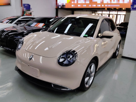 欧拉好猫 2023款 401km标准续航 尊荣型 磷酸铁锂