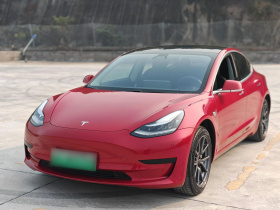 特斯拉 Model 3 2019款 标准续航后驱升级版