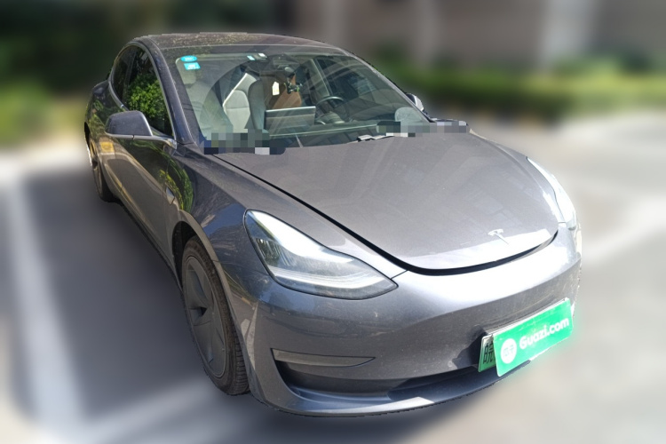 特斯拉 Model 3(进口) 2019款 长续航后驱版车身外观6002