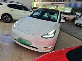 特斯拉 Model Y 2021款 长续航全轮驱动版