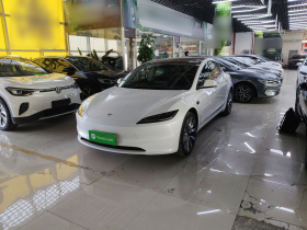 特斯拉 Model 3 2023款 后轮驱动版