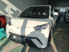 比亚迪 海鸥 2024款 荣耀版 305km 活力版