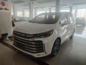 上汽大通MAXUS 大通G50 2021款 PLUS 1.5T 自动适航版