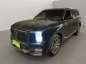 广汽传祺 传祺GS8 2025款 领航系列 2.0TGDI 两驱豪华版 5座