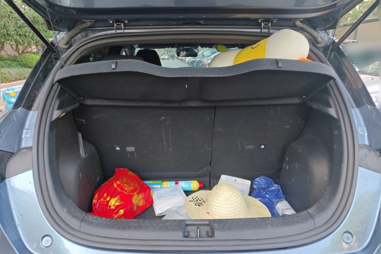 比亚迪 海豚 2023款 401km 骑士版局部细节23